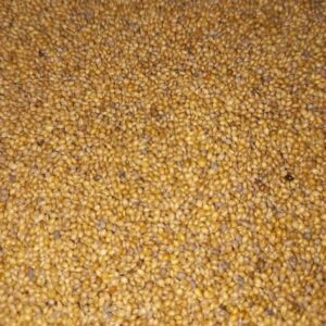 কাউন / Chawon Seeds