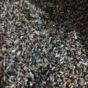 গুজি তিল / Sesame Seeds