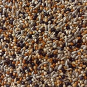 মিলেট ক্যানারি মিক্স / Millet & Canary Mix