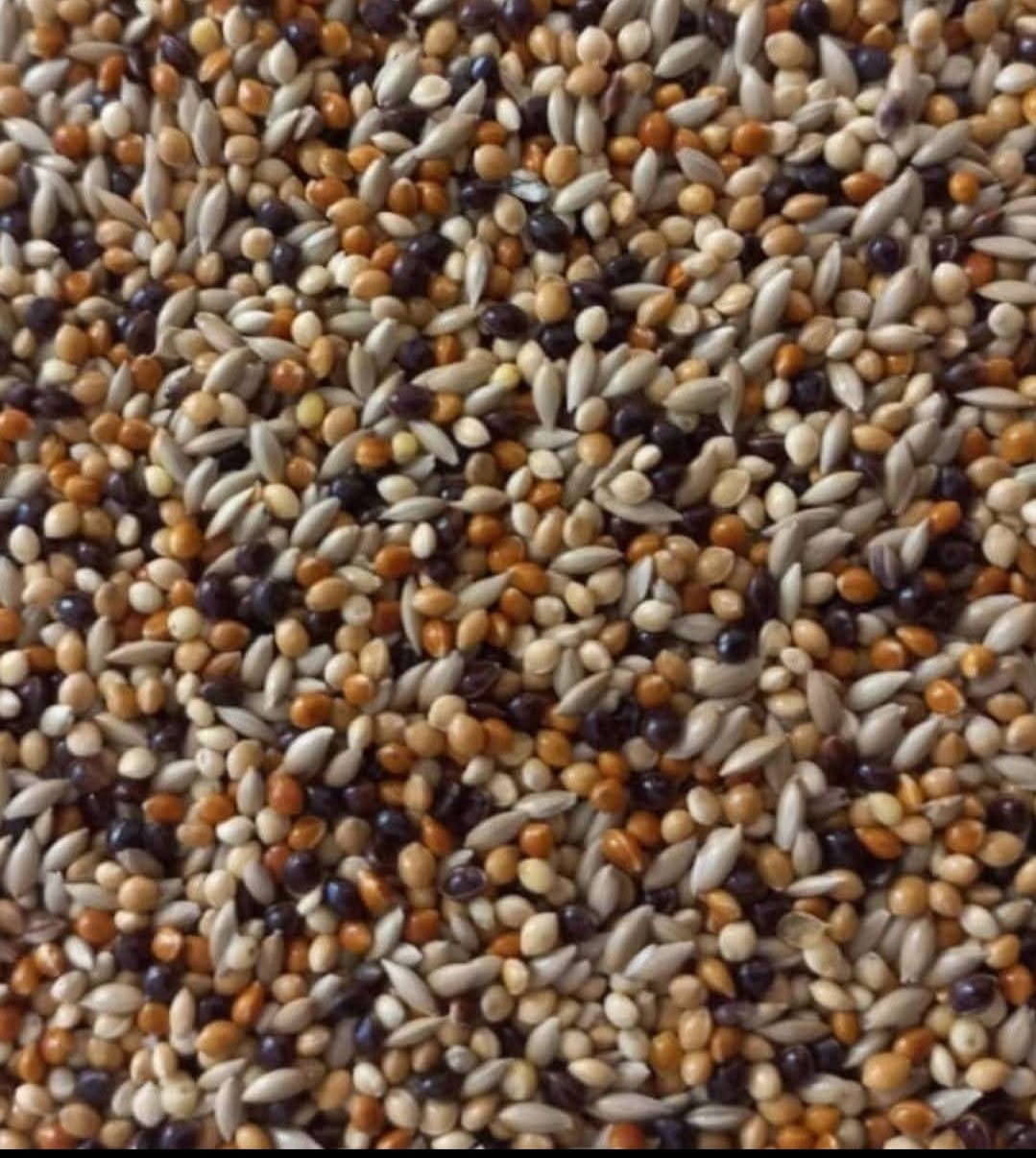 মিলেট ক্যানারি মিক্স / Millet & Canary Mix