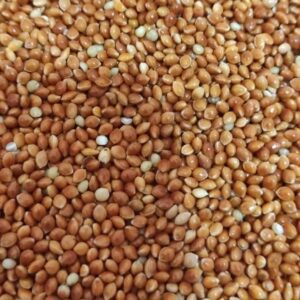 লাল মিলেট / Red Millet