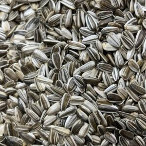 স্টাইপ সূর্যমুখি / Strip Sunflower Seeds (Belgium)