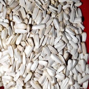 সাদা সূর্যমুখি(মাঝরি) / White Sunflower Seeds (Medium)