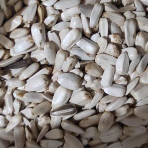 সাদা সূর্যমুখি(ছোট) / White Sunflower Seeds (Small)