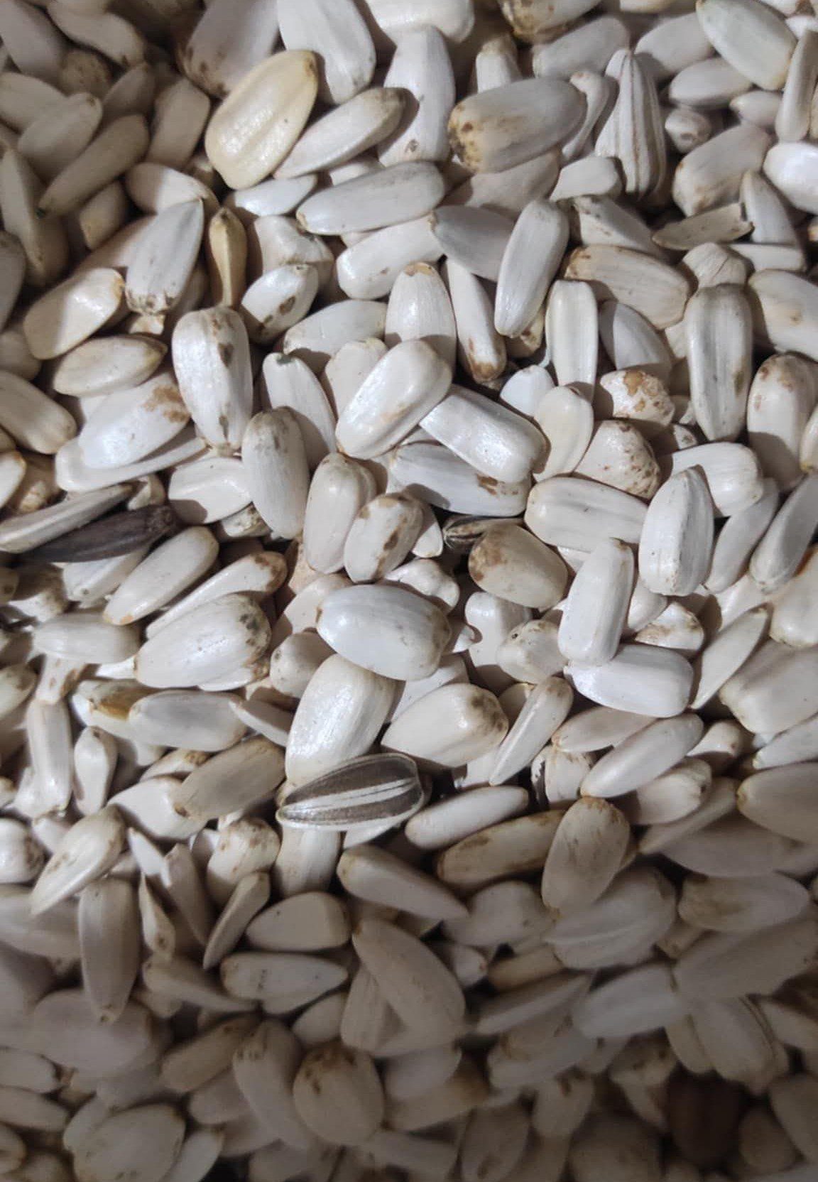 সাদা সূর্যমুখি(ছোট) / White Sunflower Seeds (Small)