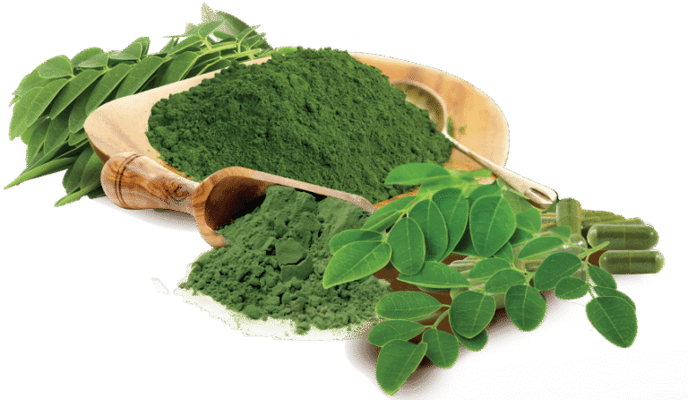 Pet food store in Dhaka