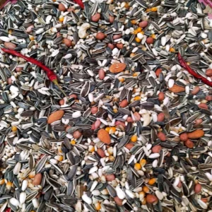 Parrot Mixed (Nuts Special)